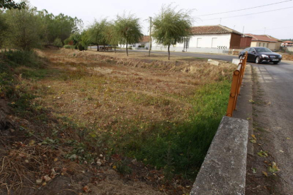 El río Porcos se confunde con la pradera a su paso por Magaz de Cepeda.