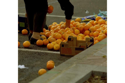 Naranjas tiradas en la calle en León. JESÚS