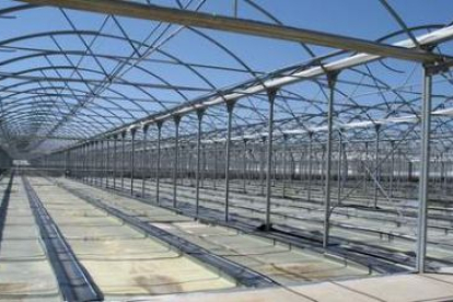 La planta de cogeneración entrará en funcionamiento entre febrero y marzo de 2009