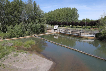 Imagen de archivo del azul del río Boeza en Bembibre. L. DE LA MATA