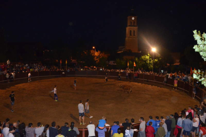 Imagen de la plaza de toros de Villamañán. MEDINA