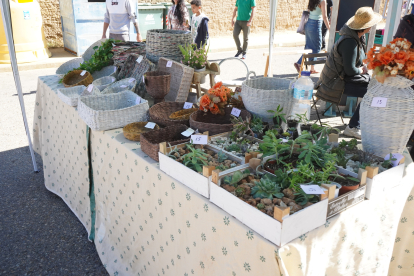 Feria del pimiento de Fresno de la Vega. J. NOTARIO