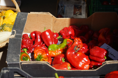 Feria del pimiento de Fresno de la Vega. J. NOTARIO