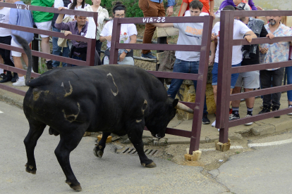 Tradicional toro tentenecio en un trayecto del recorrido tras la cogida al vecino de Sahagún. ACACIO DÍAZ