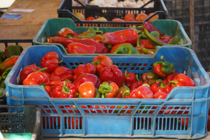 Feria del pimiento de Fresno de la Vega. J. NOTARIO