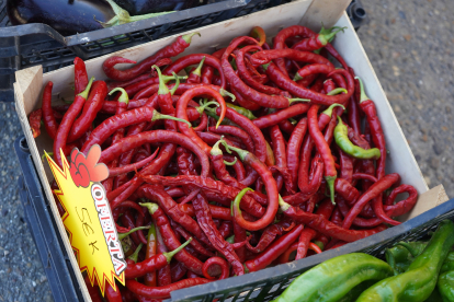 Feria del pimiento de Fresno de la Vega. J. NOTARIO