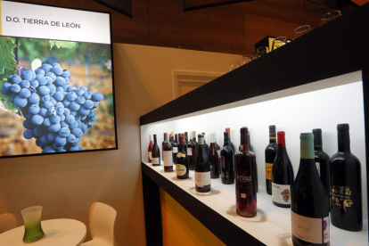 Los vinos de León sorprenden con su personalidad a los expertos que visitan el Salón . RAQUEL P. VIECO