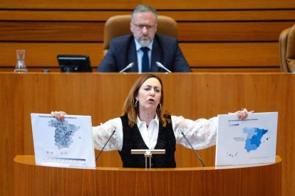 La procuradora socialista Rosa Rubio interviene en el Pleno de las Cortes de Castilla y León. NACHO GALLEGO