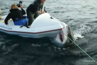 Momento del ataque del tiburón blanco a la lancha.