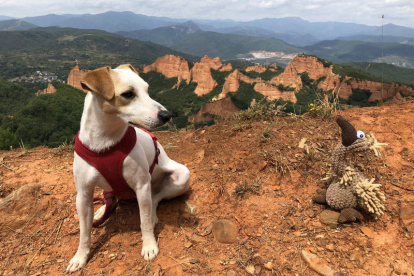 El perro turista Pipper en su visita a Las Médulas, el pasado mes de julio. PIPPERONTOUR