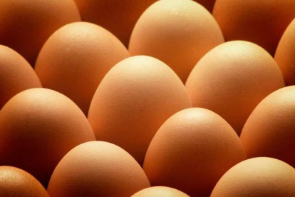Huevos de ave con destino al consumo humano. efe