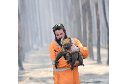 El rescatista Simon Adamczyk sostiene a un koala tras salvarle del fuego.
