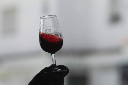 Los vinos de la DO León presumen de nuevo de un añada «excelente» en 2019. JESÚS F. SALVADORES