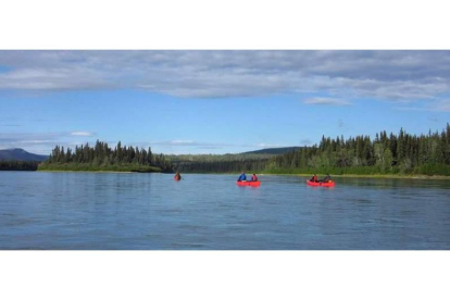 Las islas abundan a mitad del cauce, en los 300 kilómetros de descenso del río Yukón.