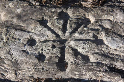 Uno de los petroglifos encontrados en Maragatería. JAVIER FERNÁNDEZ LOZANO