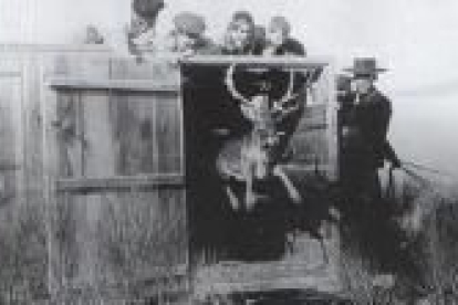 Suelta de gamos en Riofrío, en Segovia, en el año 1902