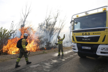 Incendio forestal en Santa Olaja de la Ribera. F. Otero Perandones.