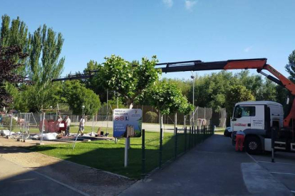 Intervención municipal en el parque Vallezate. DL