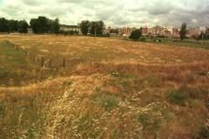 Imagen del polígono de La Lastra, donde el 40% de los terrenos son de propiedad municipal