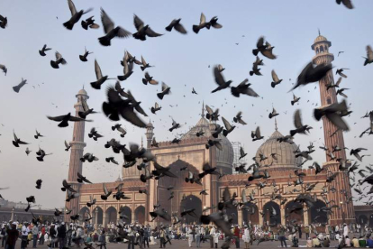 Varias instantáneas de la vida cotidiana en Nueva Delhi, como los atascos, algunos de los monumentos más representativos o costumbres religiosas como el rezo.