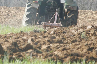 Un tractor rotura tierra para cultivar cereal.