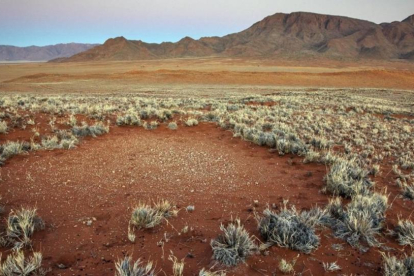 Formaciones de 'círculos de las hadas' en el desierto de Namibia.