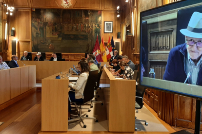 Pleno extraordinario en la Diputación de León. DL