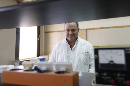 César Bernardo Gutiérrez Martín, catedrático del Área de Sanidad Animal de la Facultad de Veterinaria de la Universidad de León, en su laboratorio . marciano pérez