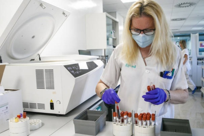 Una trabajadora en un laboratorio de microbiología prepara muestras.  JAVIER CEBOLLADA
