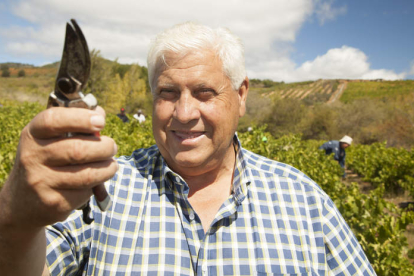 bodegas y viñedos merayo