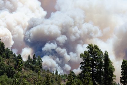 El humo del incendio forestal  en el municipio palmero de Puntagorda se observa en varios puntos de la isla. EFE / MIGUEL CALERO