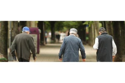 Más de 33.000 mayores de 65 años viven solos en León. L. DE LA MATA