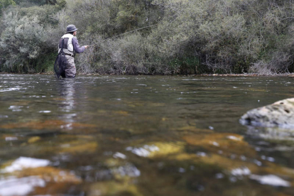 Los ríos leoneses siguen mostrando  un buen aspecto para los aficionados a la pesca. FERNANDO OTERO