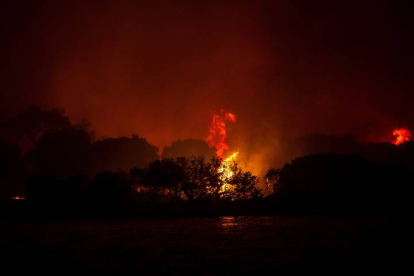 Fotografía de un incendio forestal en una zona rural en el distrito Milas de Mugla (Turquía). EFE/ERDEM SAHIN