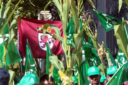 Imagen de la movilización ante el ministerio de cultivadores leoneses de maíz. BENITO ORDÓÑEZ