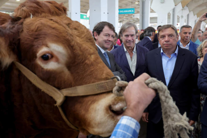 Mañueco y el ministro Planas ayer, en la inauguración de la feria agraria de Salamanca. JM GARCIA