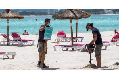 Dos operarios ponen a punto las sombrillas de la playa balear de Alcudia, en Mallorca. CATI CLADERA
