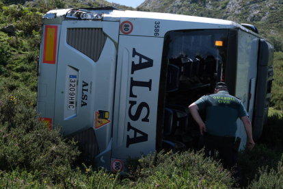 Siete personas han sido hospitalizadas por las contusiones y fracturas que han sufrido al despeñarse un autobús con 48 pasajeros, muchos de ellos niños. PACO PAREDES