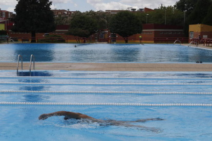 Un hombre nadando en la piscina de La Bañeza. RAMIRO