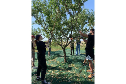 Una actividad durante el voluntariado sobre la protección y cuidado del medioambiente. DL