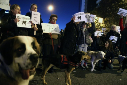 Manifestación por la ejecución de la perra Sota.