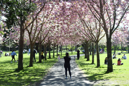 Imagen de un parque de Dublín el pasado lunes. AIDAN CRAWLEY