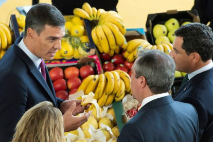Sánchez, Moreno y Espadas degustan plátanos de Canarias en el I Foro Urbano de España y III Foro de Gobiernos locales de Sevilla. RAÚL CARO