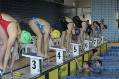 Las nadadoras esperan la señal para iniciar la carrera