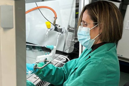 La investigadora Isabel Sola, codirectora del laboratorio de coronavirus del Centro Nacional de Biotecnología del CSIC, durante una jornada de trabajo. EFE / JOSÉ ANTONIO GALLEGO