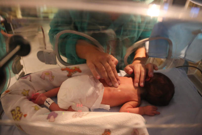 Un bebé en la Unidad de Neonatología del Hospital de León. SECUNDINO PÉREZ