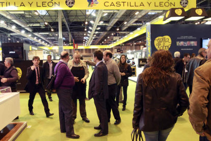 En el espacio de Castilla y León todo está dominado por el amarillo de Tierra de Sabor.