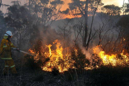 Un bombero voluntario de Nueva Gales del Sur intenta apagar las llamas en Bell, al este de Australia, este domingo.