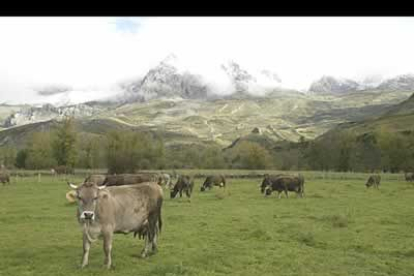 La comarca de Babia fue declarada en octubre Unesco Reserva de la Biosfera, por parte de la Unesco, e integrada en la red mundial que engloba los paisajes naturales más interesantes.