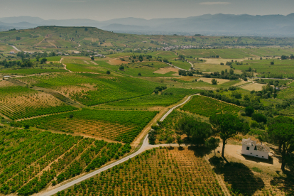 Vista de los viñedos de Villafranca y Valtuille. FUNDACIÓN PRADA A TOPE